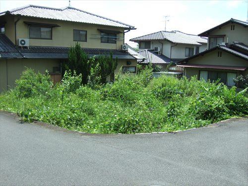 現地(北東側から撮影) 現地(北東側から撮影)