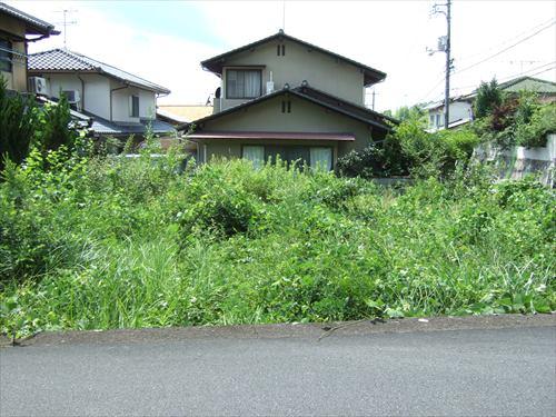 現地(東側から撮影) 現地(東側から撮影)