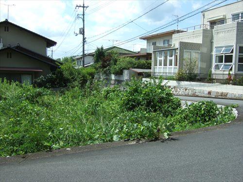 現地(東側から撮影) 現地(東側から撮影)